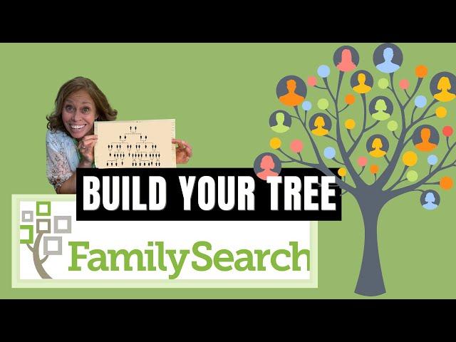 How to Build Your Tree on Family Search (FREE)