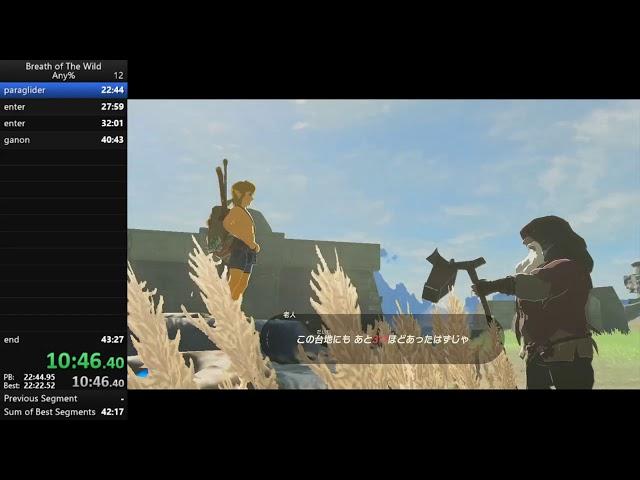 BotW any% 41:20