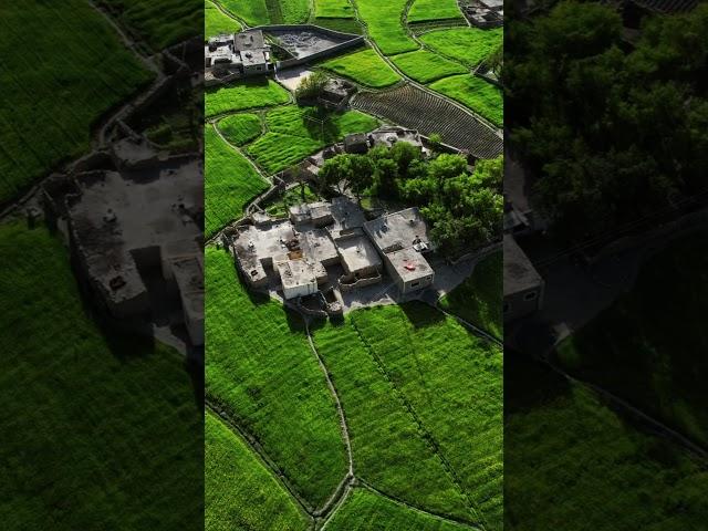 Do not touch me g #asifashoor #mountain #skarduairport #djmavic #skardu #nature #drone