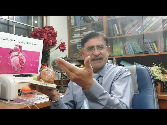 Coronary Artery Disease.Dr Mehdi Hassan, Chief Cardiologist.