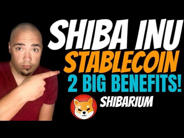 SHIBA INU COIN TANKING. HOW THE SHI STABLE COIN CAN HELP