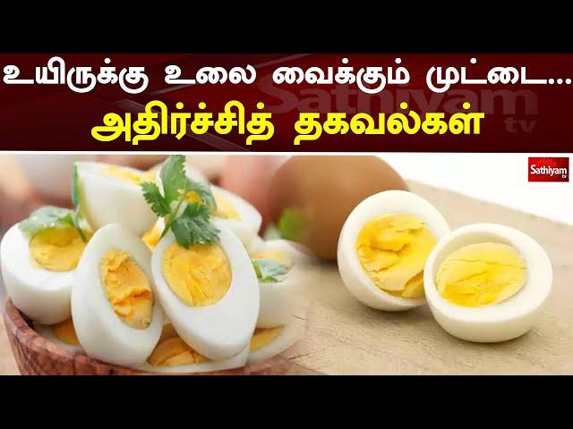 உயிருக்கு உலை வைக்கும் முட்டை...அதிர்ச்சித் தகவல்கள் | Egg | Sathiyam TV