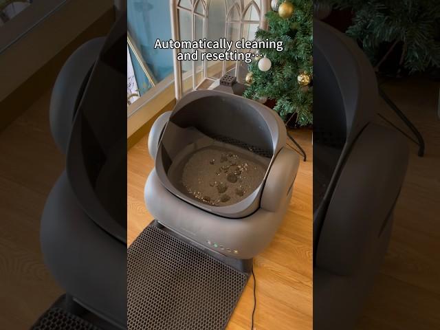 smart cat litter box Neakasa: #Smartcatlitterbox #Raisecat #cat #catlitter #clean #pet #neakasa
