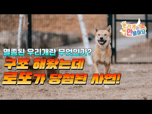 방치견을 구조했는데 로또가 당첨되었습니다! #진돗개키우기 #진돗개입양 #진도견입양 #진돗개교육 #진돗개훈련