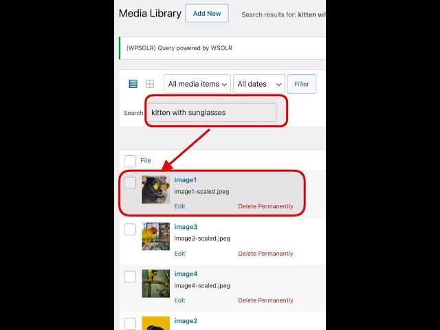 Search in WordPress media images with Weaviate multi2vec-clip vector image search  (WPSOLR plugin)