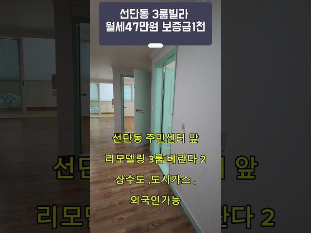 선단동 3룸 리모델링 빌라임대 보증금1천만 월47만원 발코니2 즉시입주 #포천직방부동산 #선단동빌라 #선단동원투룸