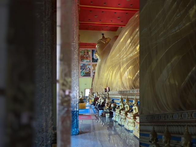 พูดอย่างมีสติ.พูดแบบสร้างสรรค์.พูดพอประมาณ #คติธรรม #คติเตือนใจ #คำคม #ธรรมะ #ธรรมะสอนใจ #ธรรมชาติ