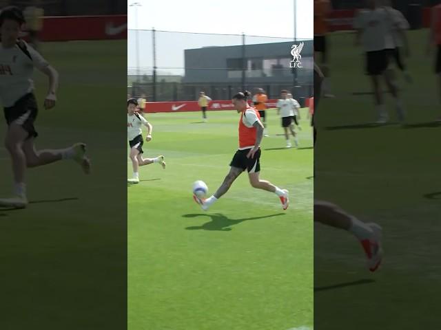 Darwin with the finish… ‍