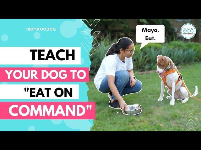 How to Teach your dog to 'Eat on command' or 'Impulse control' ll Step by Step Guide ll