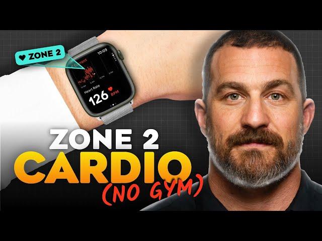 How to Get Zone 2 Cardio In Your Daily Activities (Andrew Huberman)