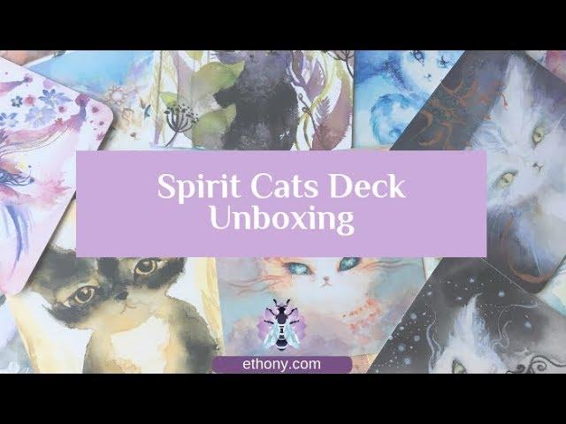 Spirit Cats Deck Unboxing and First Impressions