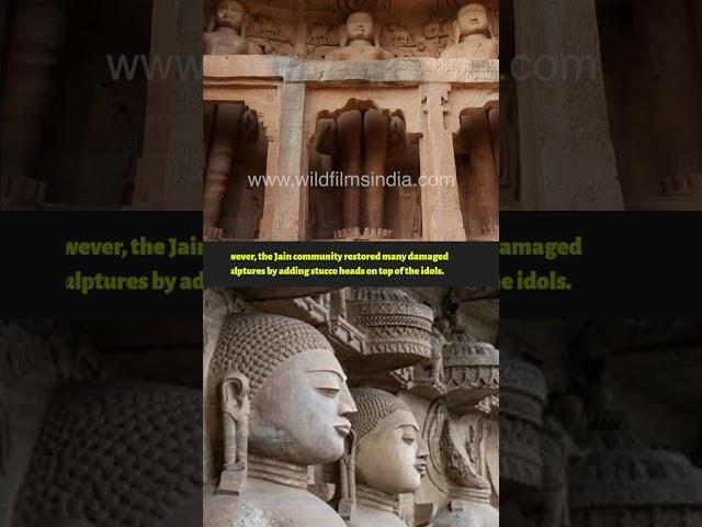 Discover the Timeless Beauty of Gopachal Jain Monuments #shorts #shortsfeed #shortsvideo