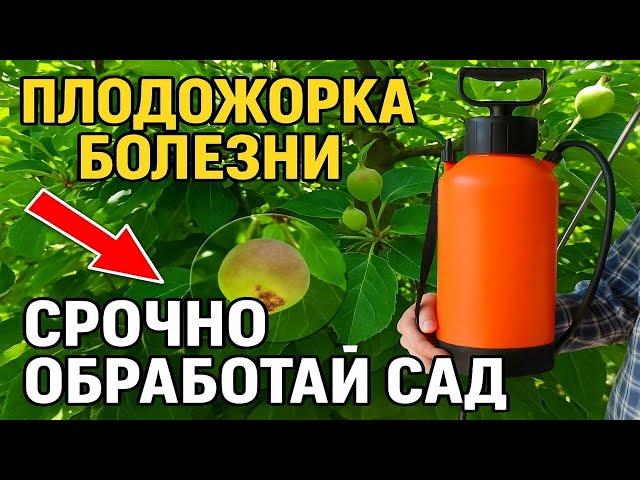 СРОЧНО ОБРАБОТАЙ САД! Плодожорка и болезни – СХЕМА, СРОКИ, ПРЕПАРАТЫ, зеленые операции
