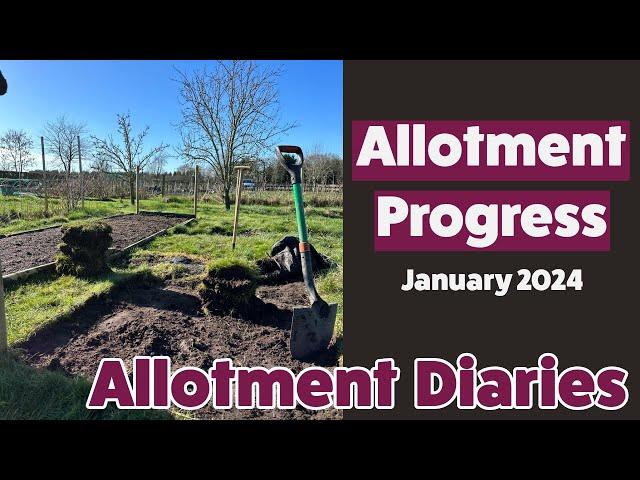 Allotment Diary | January 2024 | Progress Update