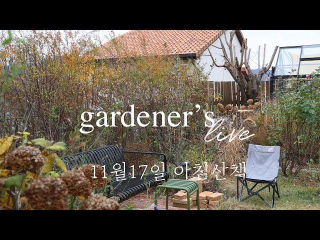 11월 17일 만추의 정원 투어 / Late garden tour with me!