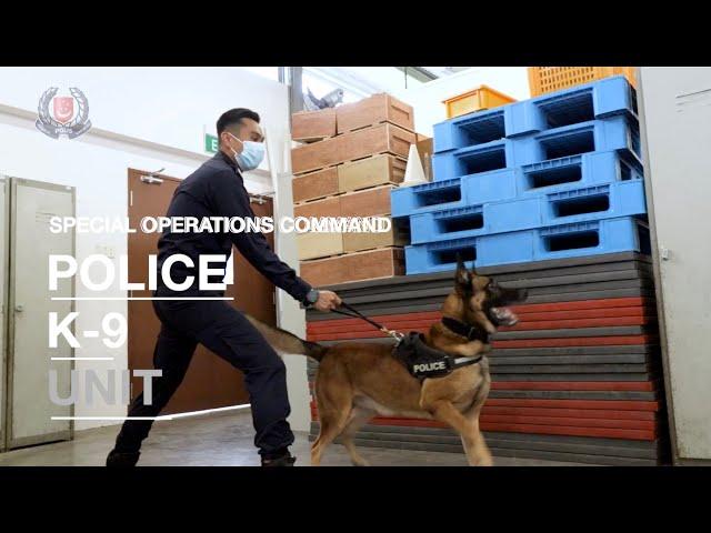 The Police K-9 Unit