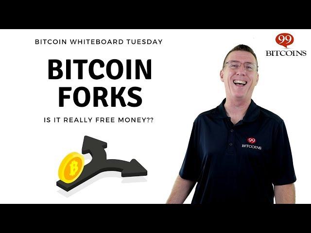 What are Bitcoin Forks? A Simple Explanation