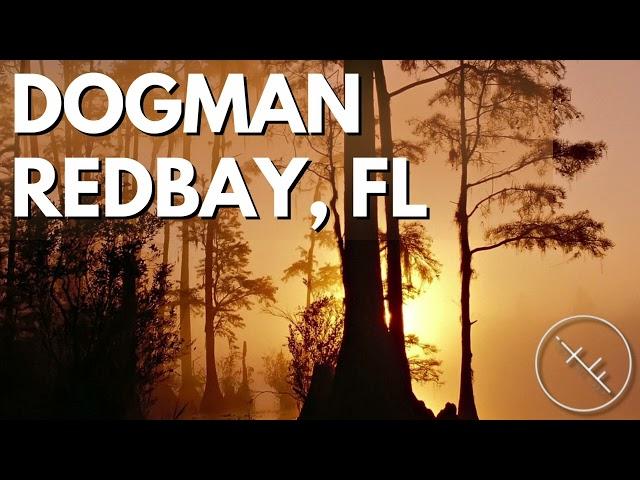 iNTO THE FRAY 466: Dogman-Redbay, FL