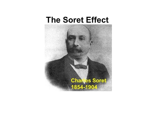 The Soret Effect