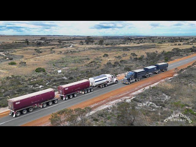 Truck Harvest