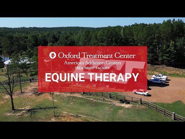 Equine Therapy for Addiction Treatment | Healing Through Horses