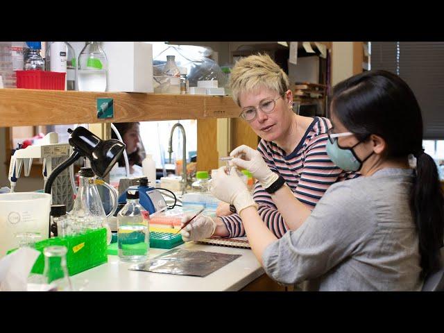 Cold Spring Harbor Laboratory: Foundations for the Future