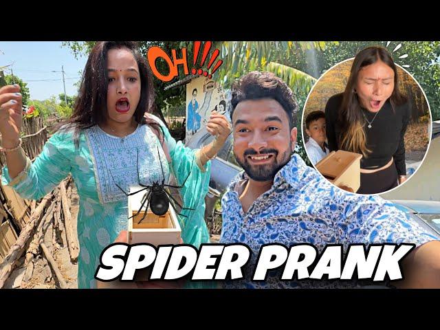 Priya or Uski Friends ke sath Kiya Spider Prank ️|| Epic reaction || jeet thakur pranks#coupleprank