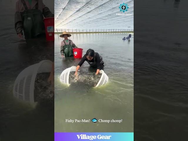This Baby Fish Catcher is Oddly SATISFYING!  Like a Fishy Pac-Man!#oddlysatisfying #fishing #fish