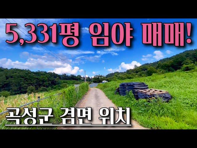 [전남임야매매] 매물번호#251 5,331평 임야 ! 곡성군 겸면 칠봉리 임야 시골땅 촌땅 토지 매매