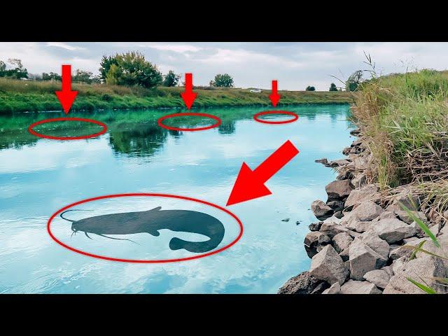 WALLER an der Steinpackung | Am kleinen FLUSS in Deutschland