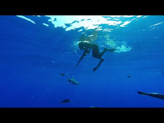 Gear is usually supplied by Blue Water Hunter Hawaii Spearfishing Charters (808) 938-1901