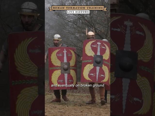 Roman Training - How to form the Testudo? #shorts