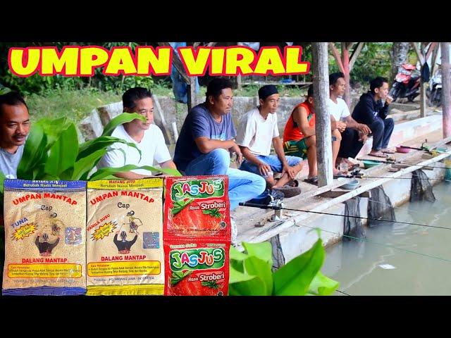 Umpan Viral Juara Paling Gacor TANPA ESSEN‼️ Cuma Pake Jasjus - Umpan Mancing Ikan Mas