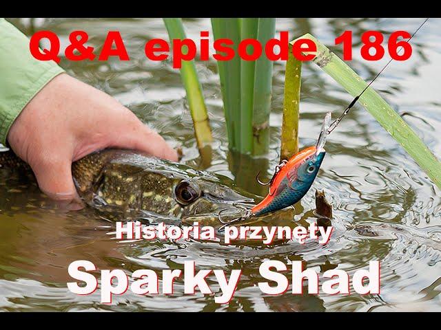 Q&A odcinek 186 - Historia przynęty Salmo Sparky Shad