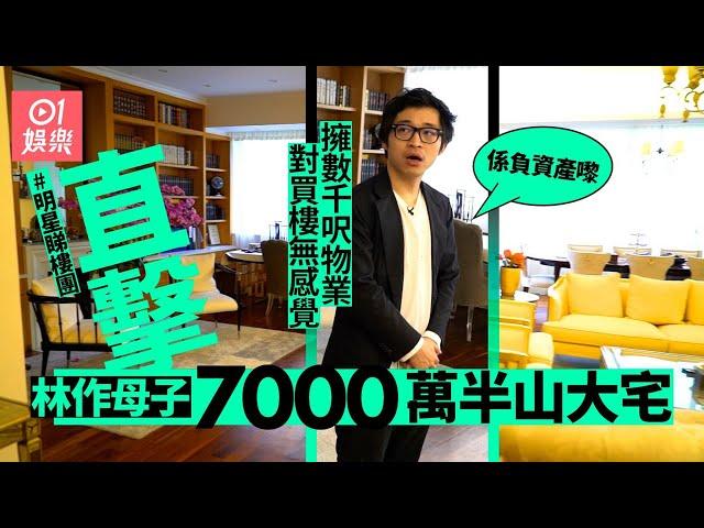 睇樓團│直擊林作7000萬大宅　揭阿媽全屋傢俬係20萬淘寶貨:成櫃假書