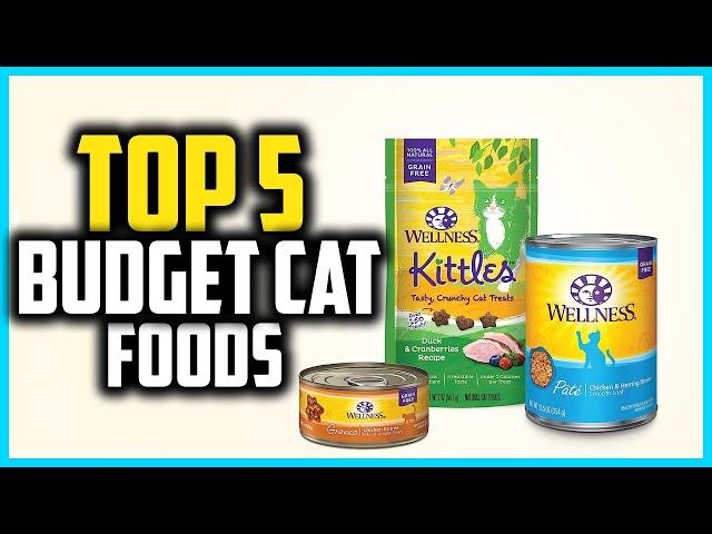 Top 5 Best Budget Cat Foods in 2024