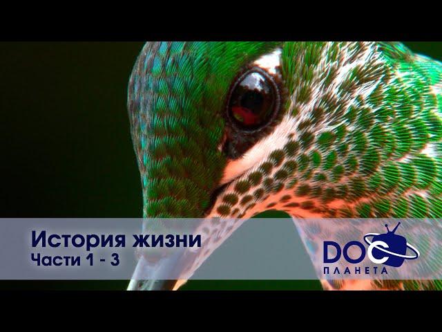 История жизни - Части 1-3  - Документальный фильм