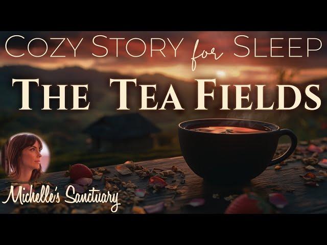 Cozy Story for Sleep 🫖 THE TEA FIELDS  Calm Bedtime Story for Grown-Ups (female voice)