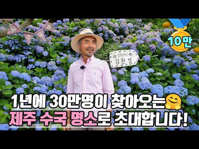 [ SUB ] 아름다워라~ 수국과 함께한 10년 10 Years with Hydrangeas | 정원의 발견 Wonders of Garden | KBS제주20230616방송