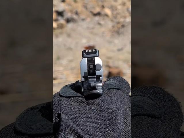Ruger SR-1911 1st Person POV