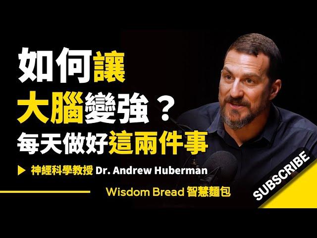 如何讓大腦變強？► 每天做好這兩件事  - Dr. Andrew Huberman 安德魯．胡伯曼博士（中英字幕）