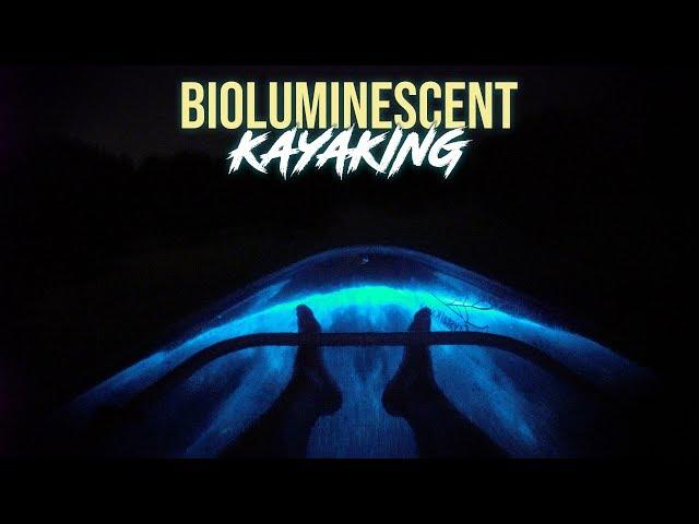 Florida's Bioluminescent Kayaking in Clear Kayaks - Bioluminescent Bay