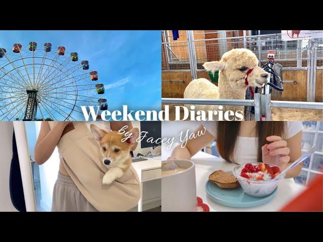 Weekend Diaries: What I Eat on Weekends, Spending time with my puppy, Sydney Royal Easter Show