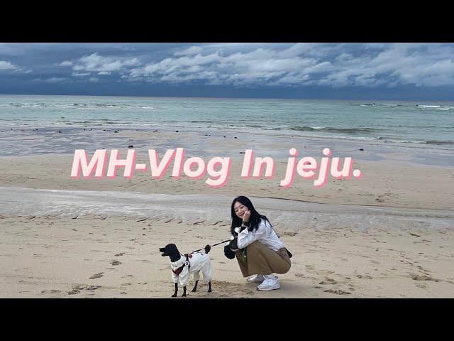 #vlog / 서울사는 제주토박이의 Jeju 여행  알차게 돌아다니고 먹고 다했지롱 !!