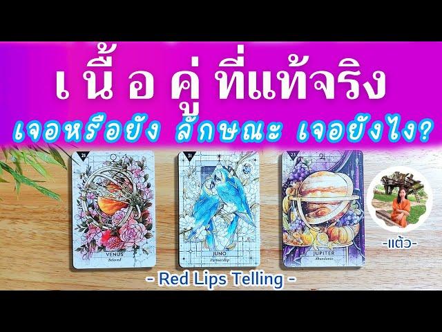 Pick A Card : เนื้อคู่ที่แท้จริง เจอหรือยัง ลักษณะ เจออย่างไร? [ Timeless ]