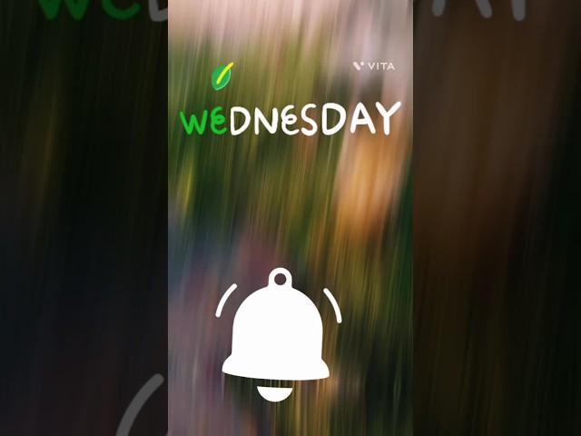 ️#dinesh offIcial vlogs 09#short#video#viarel