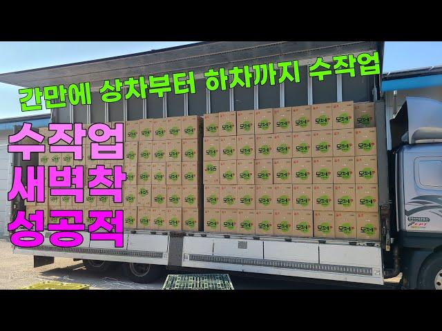 수작업 상차에서 새벽 까대기까지[EP.304]