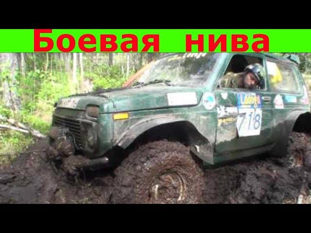 Нива на бездорожье