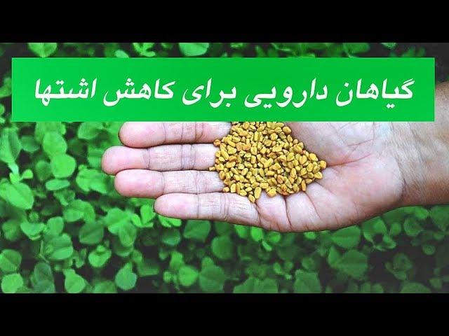 گیاهان مفید برای کاهش اشتها