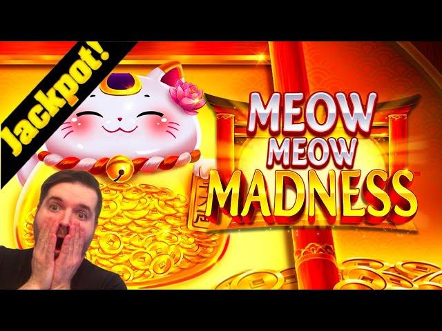 BIGGEST WIN ON YOUTUBE! JACKPOT HANDPAY!  MEOW MEOW MADNESS SLOT MACHINE!